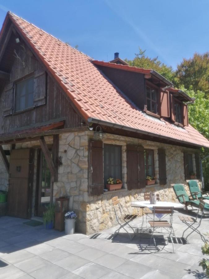 Jagdhaus In Der Rhoen In Voelliger Alleinlage 格尔斯费尔德 外观 照片
